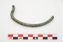 Foto von Bronzehalsring (NHMW-PRAE-024330)